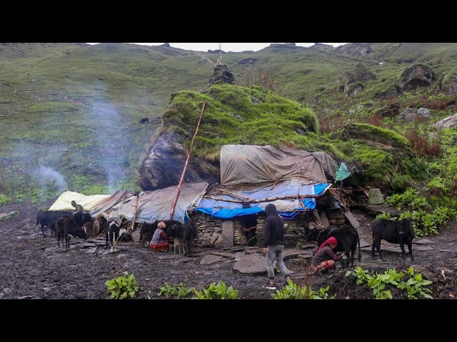 Best Life in The Nepali Mountain Village During The Rainy Time। Best Compilation Video rainy Time