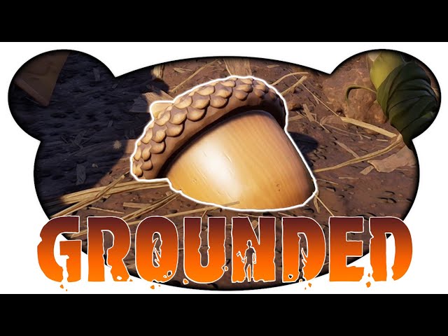 Voll auf die Eichel! - #03 Grounded (Survival Gameplay Deutsch)