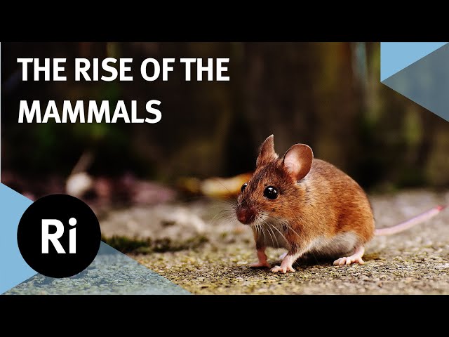 The rise and reign of the mammals - with Steve Brusatte