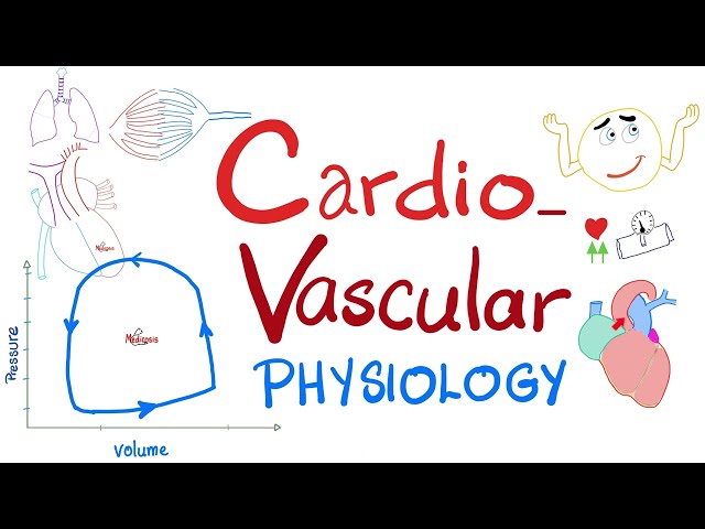 Cardiovascular Physiology, Pressure-Volume loops, Cardiac Cycle, ESV, EDV, SV, CO, Starling Law