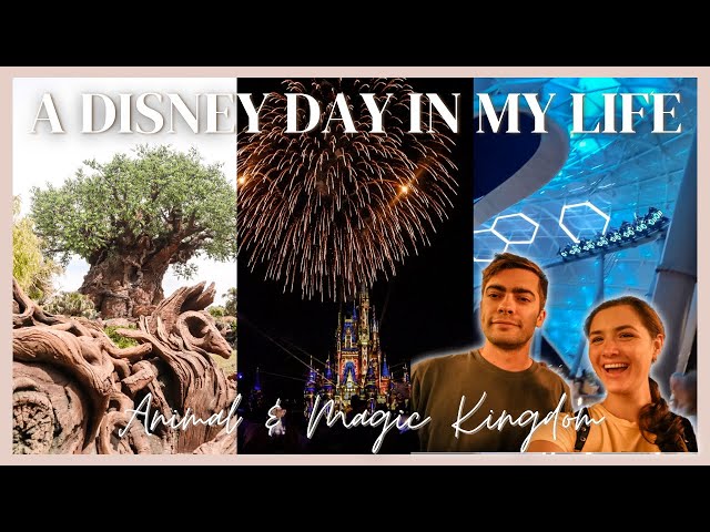 Animal Kingdom Day | Happily Ever After 2023 | TRON at night | Extended Evening Hours Magic Kingdom