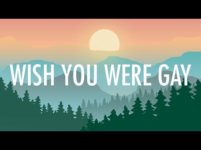 Billie Eilish – wish you were gay (Lyrics) 🎵