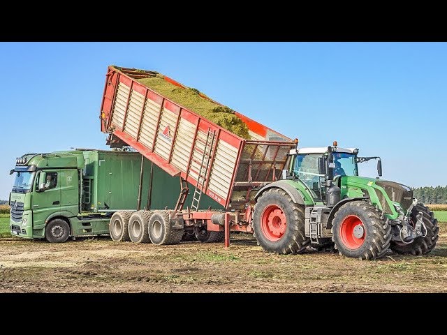 Claas Jaguar forage harvester | Fendt tractors | Volvo & Mercedes trucks | maize harvest