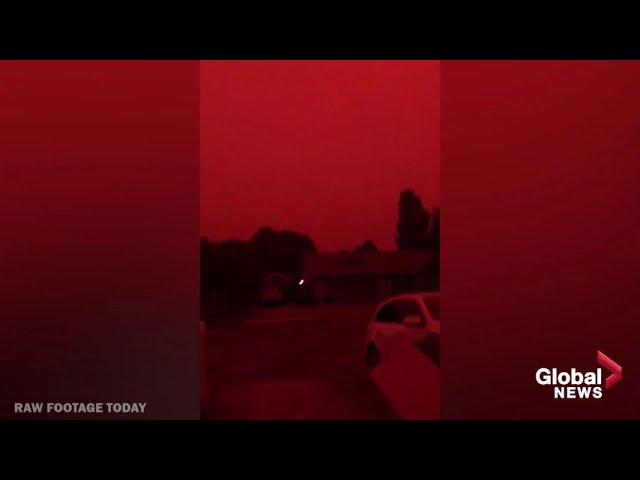 U.S. West Coast Wildfires: Fires create eerie orange red skies over cities