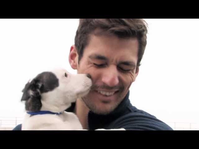 David Gandy and Battersea Dogs & Cats Home