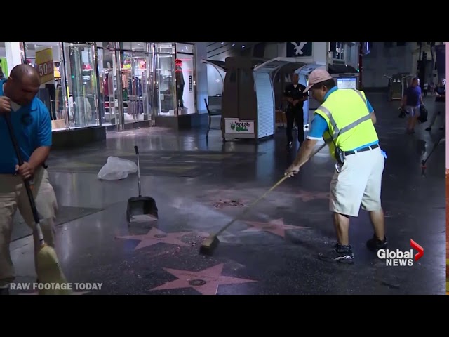 Pickaxe-wielding vandal destroys Donald Trump's star on the Hollywood Walk of Fame