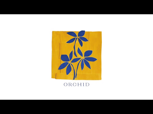 crwn - Orchid (Audio)