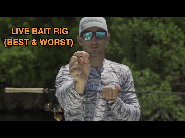 Best Overall Live Bait Rig (Plus AVOID This Pre-Tied Rig At All Costs)!