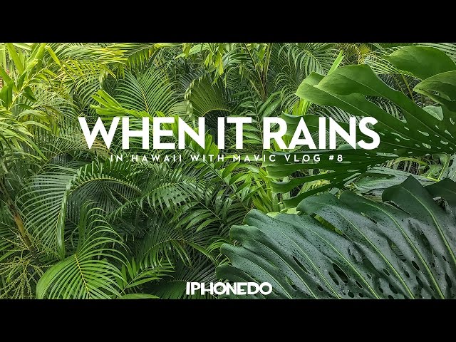 When It Rains — Hawaii VLOG #8 [4K]