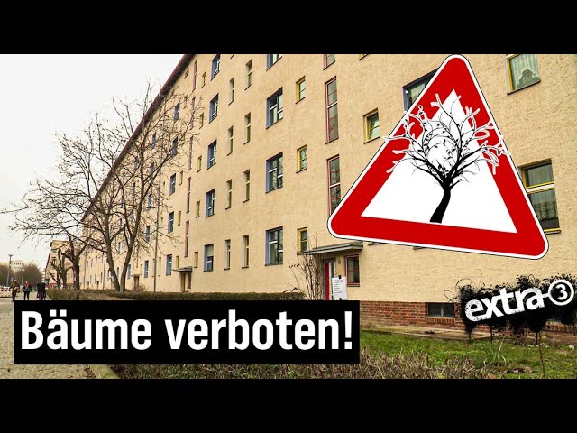 Realer Irrsinn: Keine Bäume wegen Denkmalschutz | extra 3 | NDR