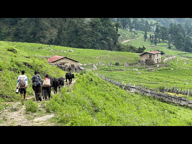 Happy Nepali Mountain Village Lifestyle || Very Peaceful and Relaxing Environment || IamSuman