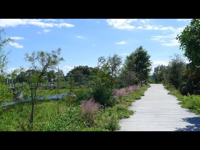 Pondhawk Natural Area walking tour - Boca Raton, FL using GoPro 1080 HD