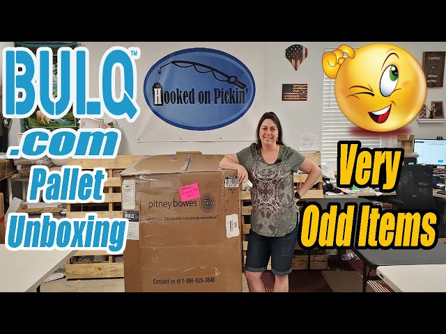 Bulq.com Pallet Unboxing - This is the Weirdest Pallet Ever - Some Strange Stuff! Online Re-selling
