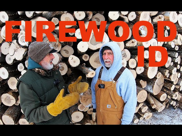 How to identify trees by bark for firewood production - #609