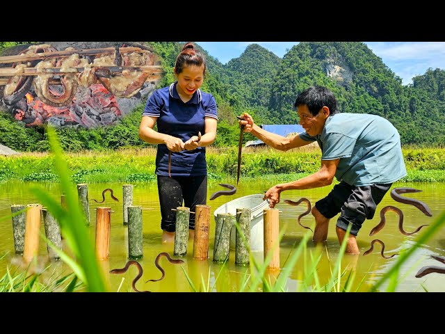 Trap Eel With Dad - Processing Grilled Eel, Rolled Eel - Go To The Market Sell | Ly Thi Ly