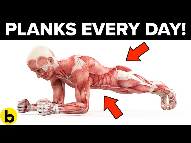 4 POWERFUL Reasons Why You Should Do PLANKS Every Day - Start Today!