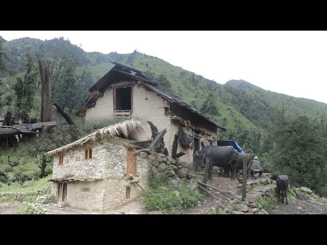Capturing the Everyday Moments of Nepali Mountain Village Life in the Rainy Season || IamSuman