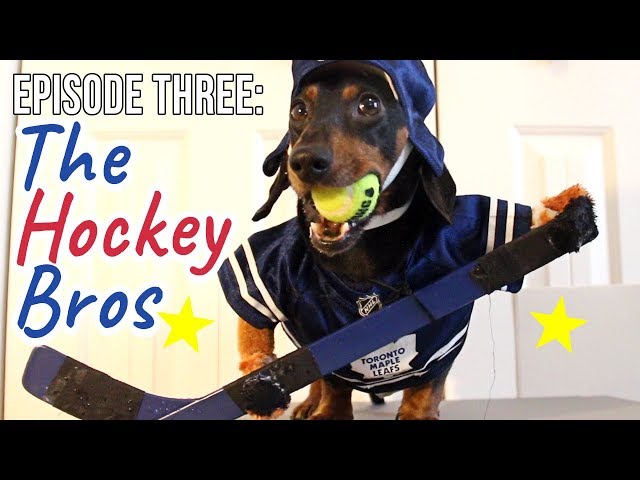 Episode Three: The Wiener Dog Hockey Bros