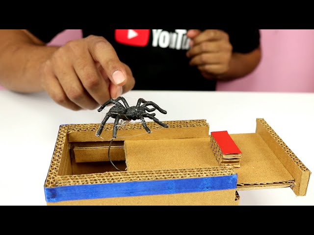 Easy to DIY Spider Scare Box from Cardboard