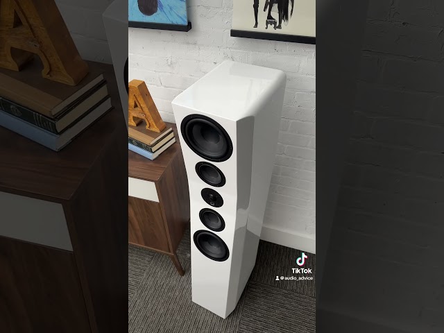 SVS ULTRA EVOLUTION Speakers are here 😍 @SVS_Sound Watch our full review now!