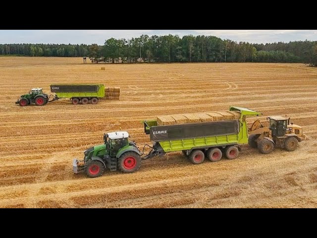 Fendt Traktoren im Einsatz I Ballen Abtransport mit Häckseltransportwagen Lohnunternehmen J&J