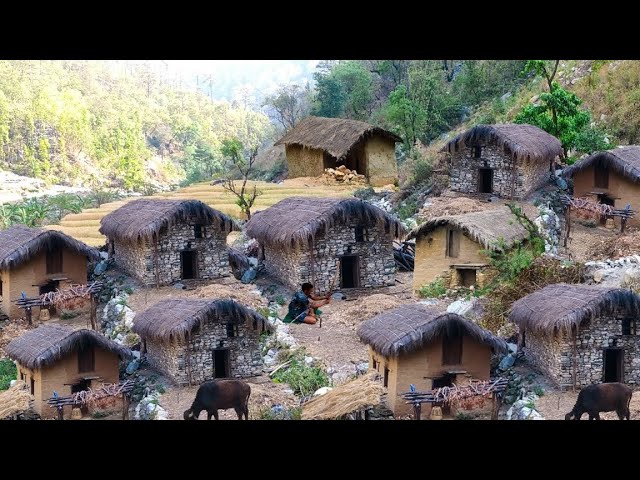 Himalayan Village Life | Nepal |  Shepherd Life in Winter | Shepherd Food | Real Nepali Life |