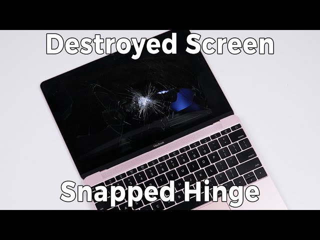 Cheating Uni Student Smashed Her MacBook - I Fix It - $100 MacBook Restoration