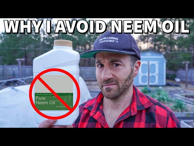 4 Reasons To NEVER Use NEEM OIL In Your Garden Again!