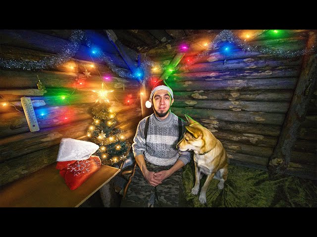 New Year in the wild forest in a dugout. Overnight stay with the dog. Part 17.