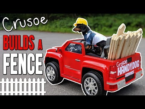 Ep #3: Crusoe the 'Handydog' Build a Fence! - (Cute Dachshund Video!)