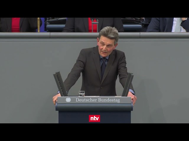 Umstrittene Rede: Mützenich mahnt im Bundestag: Atom-Pläne "sollten uns aufhorchen lassen" | ntv