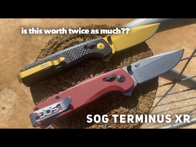 Basic v Premium, D2 v S35vn, Two SOG Terminuseses compared
