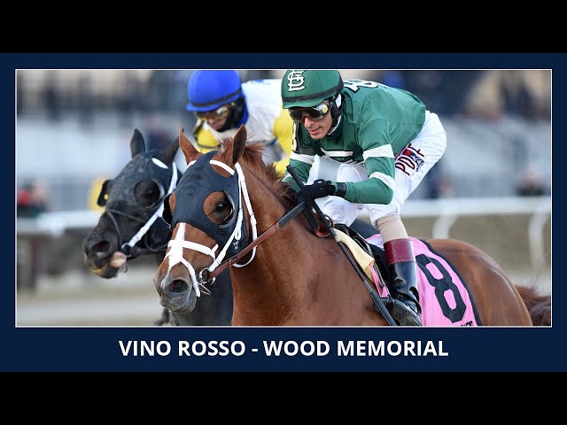 Vino Rosso - 2018 - Wood Memorial presented by NYRA Bets