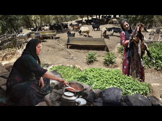 Khoresht khalal! Another Awesome Rural Dish with Lamb ,Almond & Barberry ♧ village cooking