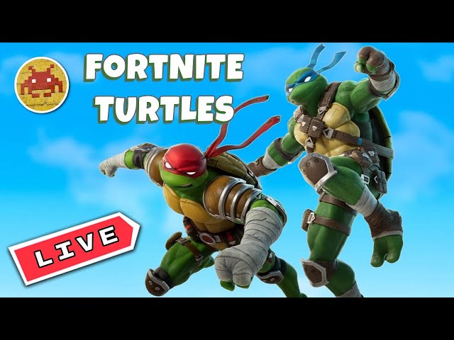 Fortnite Turtles LIVE