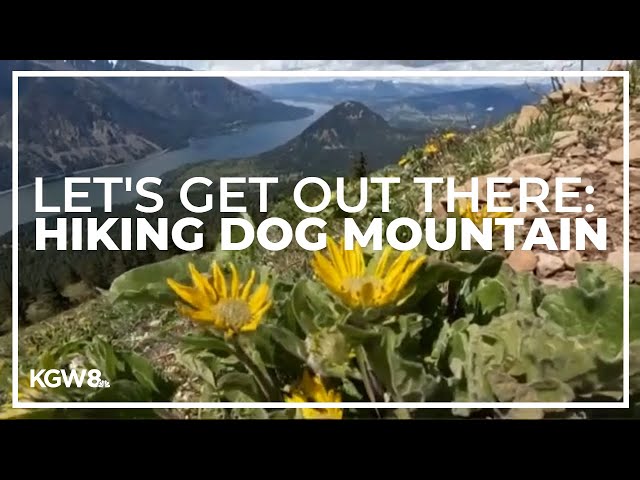Hiking Dog Mountain | Let's Get Out There