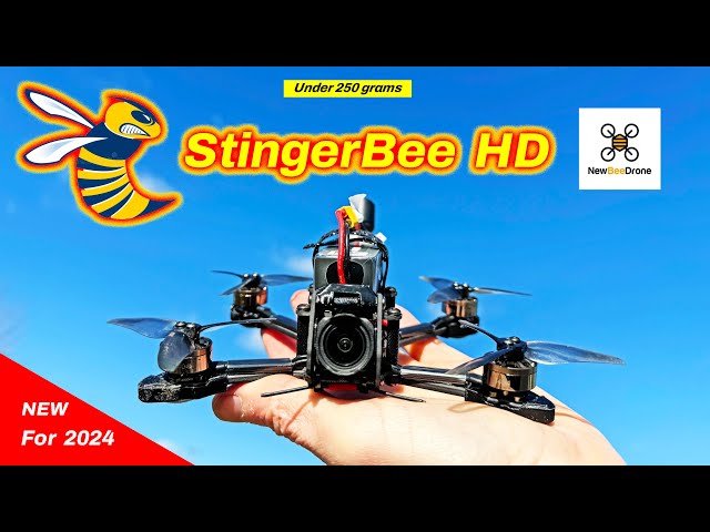 The StingerBee FPV Drone is perfect for Everyone! - Review - Newbeedrone