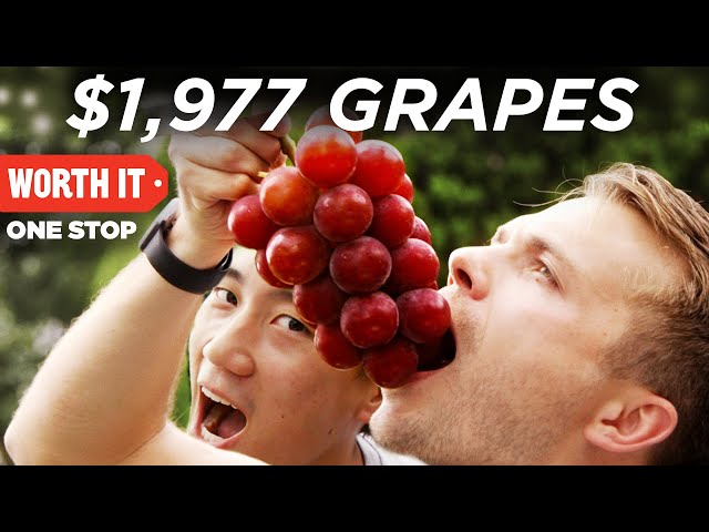 $1,977 Japanese Grapes