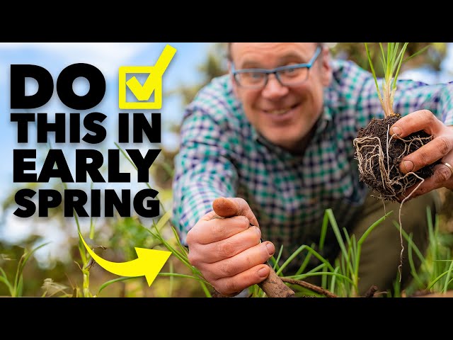 Garden Checklist: 10 Tasks To Set You Up For Your BEST Growing Season