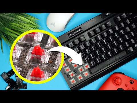 GROSS!!!  Clean YOUR Mechanical Keyboard NOW!