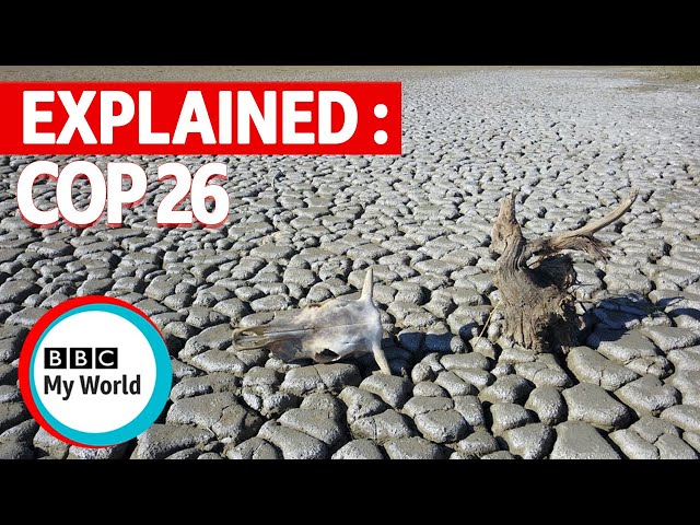 What's COP26 all about? - BBC My World #shorts
