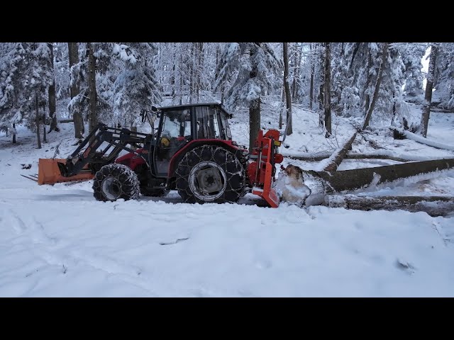 FPV-Sturmholz aufarbeiten & Holzrücken Teil1 | MF 4225 sound -Tiger 8to Seilwinde | wood harvsting