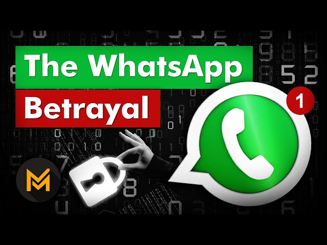 How WhatsApp Makes Money: The INSANE Story of WhatsApp