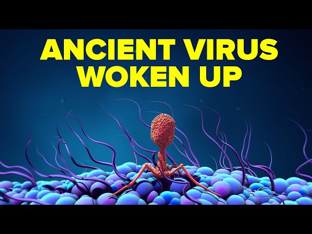 Scientists Wake Up Ancient Viruses Unknown to Medicine