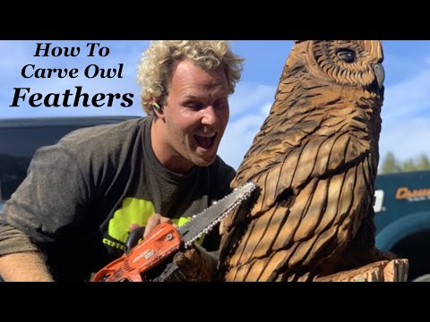 Carving Feathers -  Laying in owl FEATHER PATTERNS  - Tutorial -