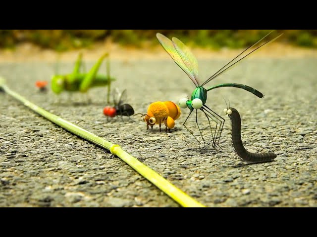 MINUSCULE Clip - "Racing Bugs" (2012)