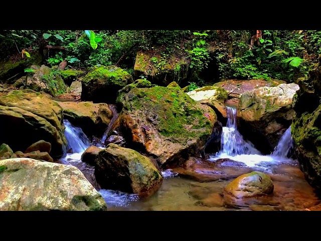 forest river sounds - relaxing water sounds for sleeping - relaxing sounds