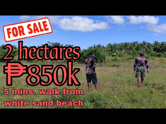 #92 Cheapest Lot property for sale in Philippines