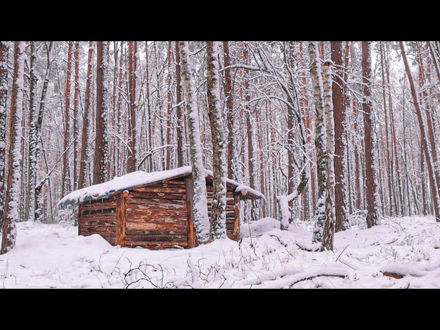 11 days building a dugout shelter, bush cabin, solo overnight, Autumn - Winter