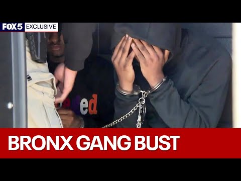 NYC Drug Busts and Gang Takedowns